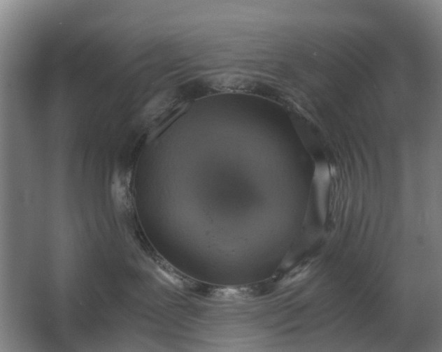 X0000062620239200601041013