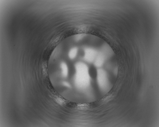 X0000062620240200601041013