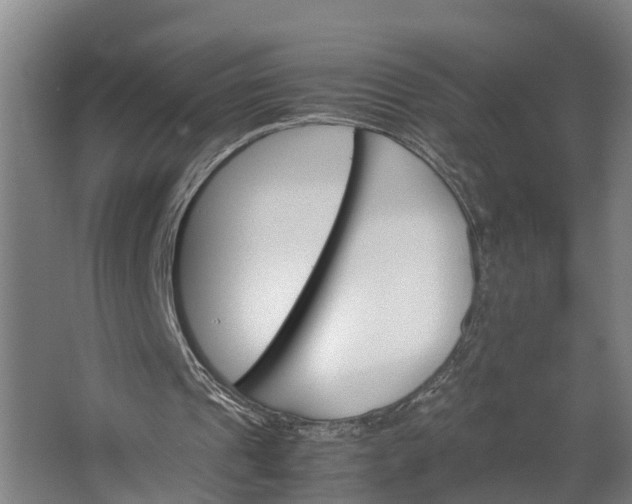 X0000062620241200601041012