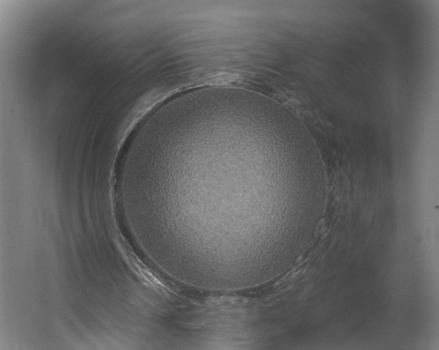 X0000062620242200601041012