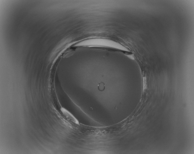 X0000062620243200601041012