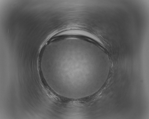 X0000062620244200601041012