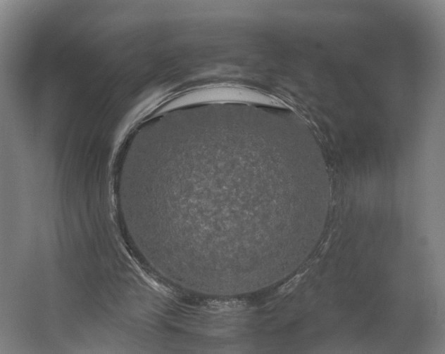 X0000062620245200601041012