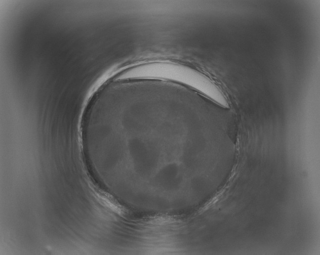 X0000062620246200601041012