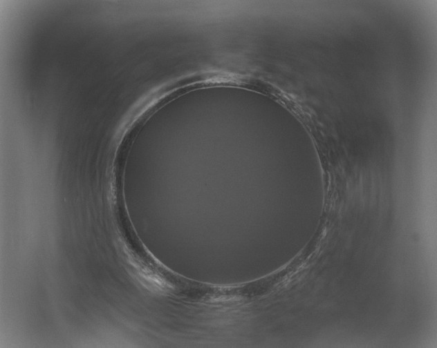 X0000062620247200601041012