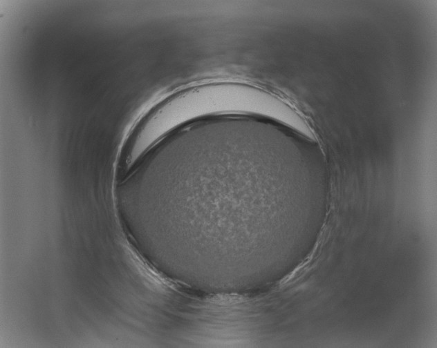 X0000062620248200601041012