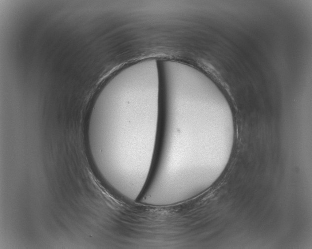 X0000062620249200601041012