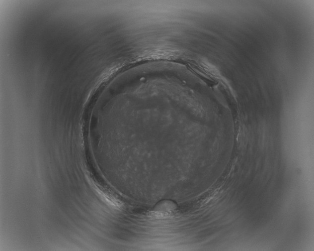 X0000062620250200601041012