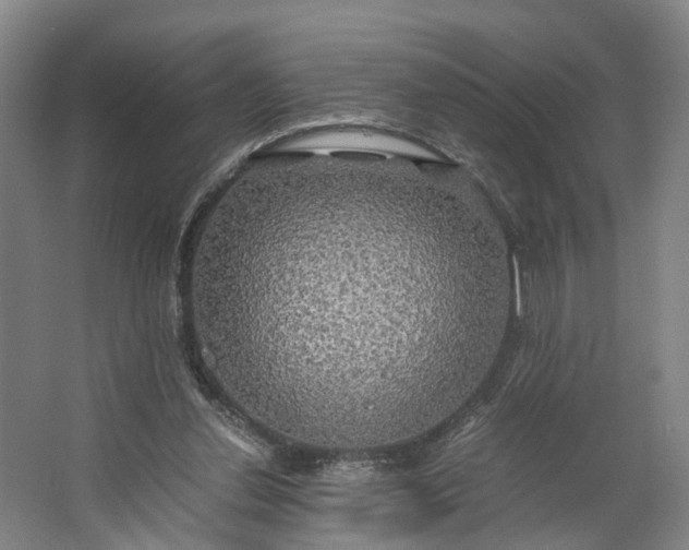 X0000062620252200601041012