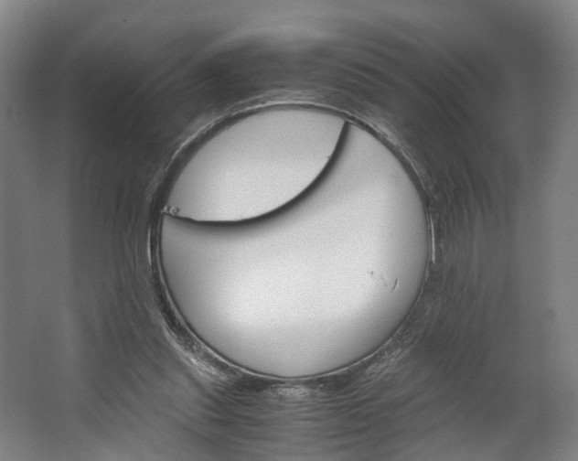 X0000062620253200601041012