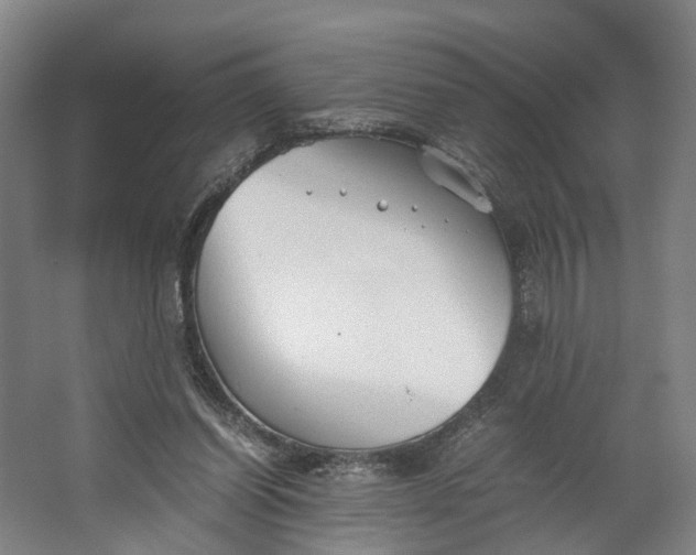 X0000062620254200601041012