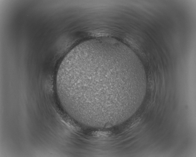 X0000062620255200601041013