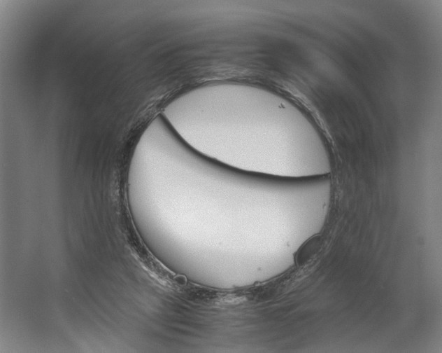 X0000062620257200601041013