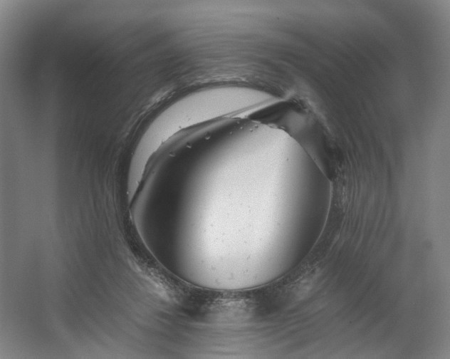 X0000062620260200601041013