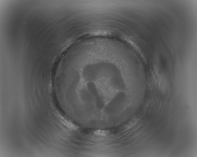 X0000062620261200601041013