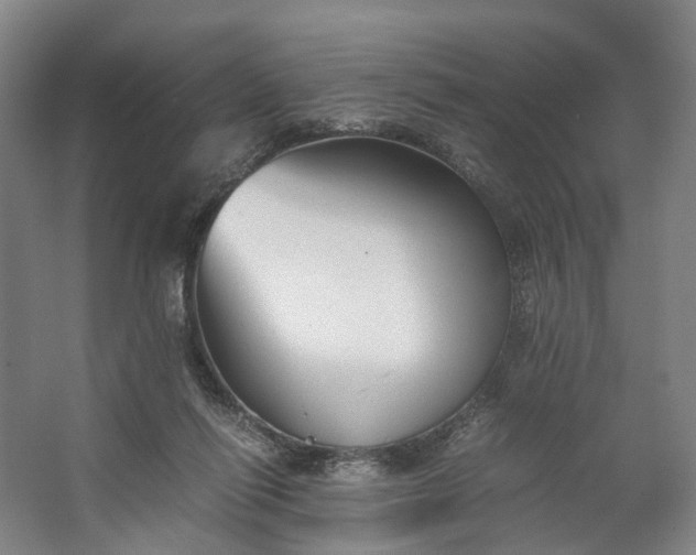 X0000062620262200601041013