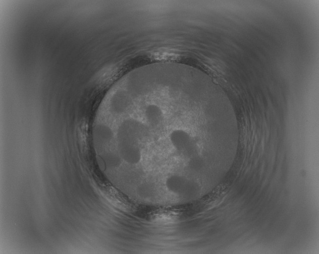 X0000062620263200601041013