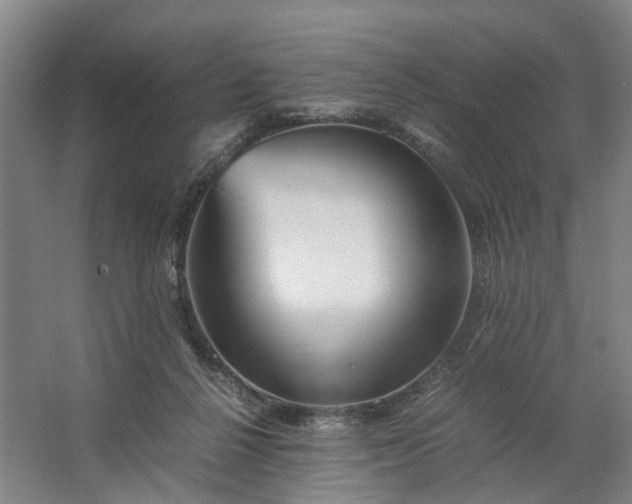 X0000062620264200601041013