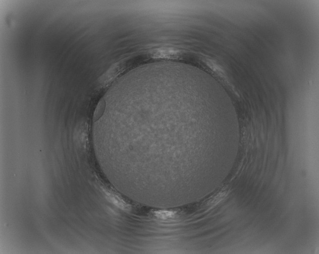 X0000062620265200601041013