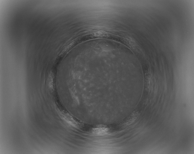 X0000062620266200601041013