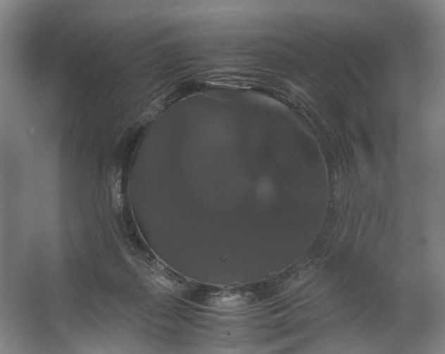 X0000062620267200601041013