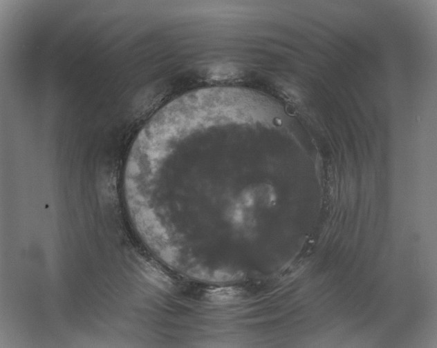 X0000062620269200601041013