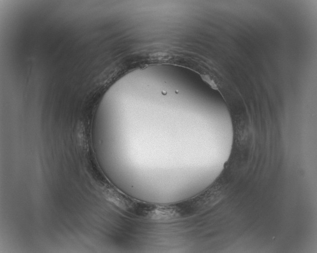 X0000062620270200601041013