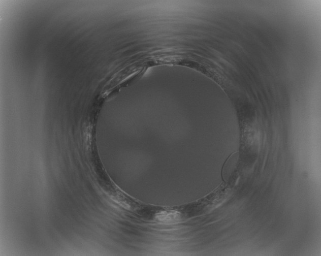 X0000062620271200601041013