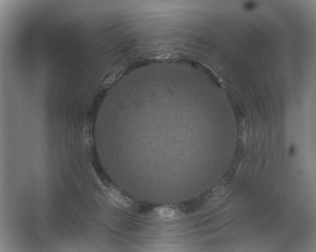 X0000062620272200601041013