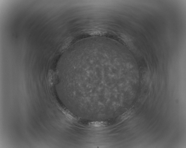 X0000062620273200601041013