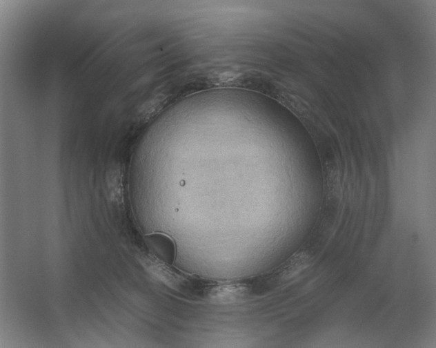 X0000062620274200601041013