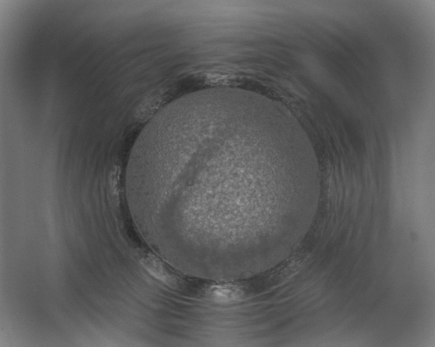 X0000062620275200601041013