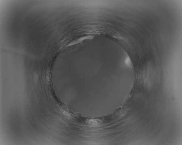 X0000062620277200601041013