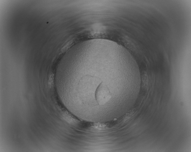 X0000062620278200601041013