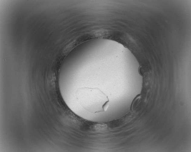 X0000062620279200601041013