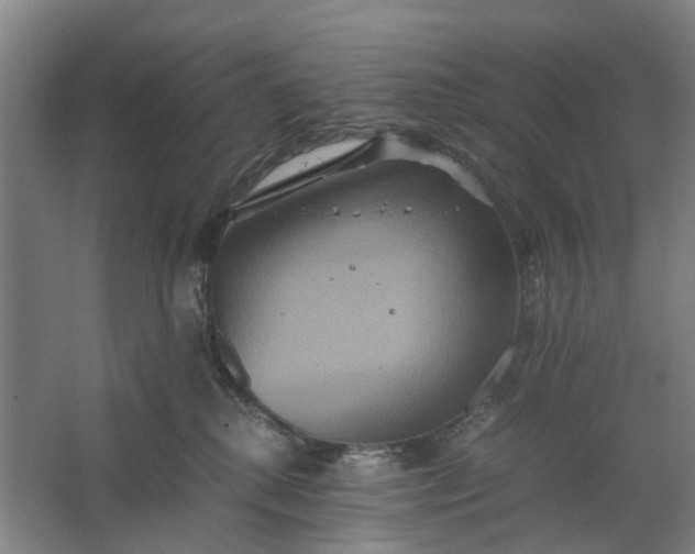 X0000062620280200601041013