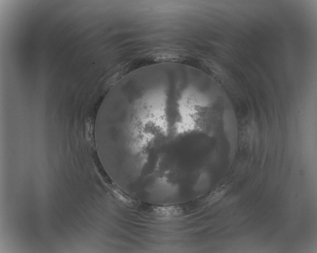 X0000062620281200601041013