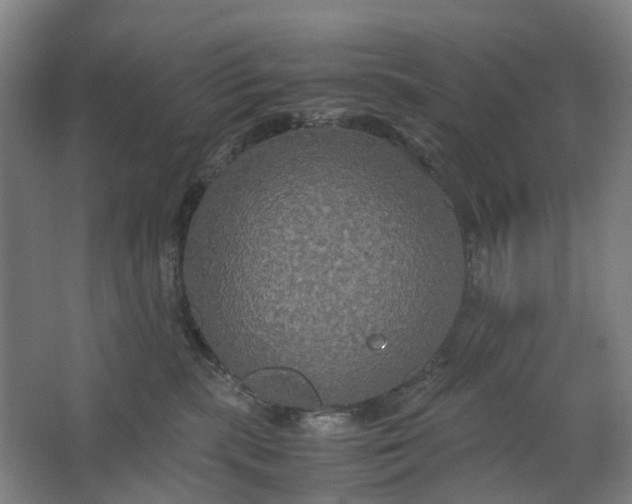 X0000062620283200601041013