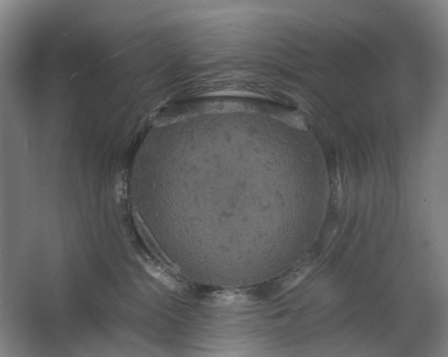 X0000062620284200601041013