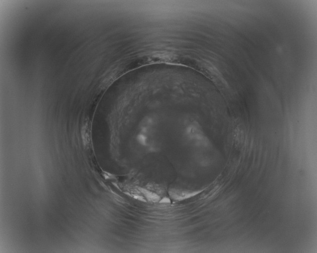 X0000062620285200601041013