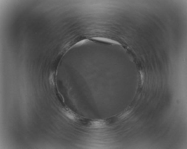 X0000062620286200601041013