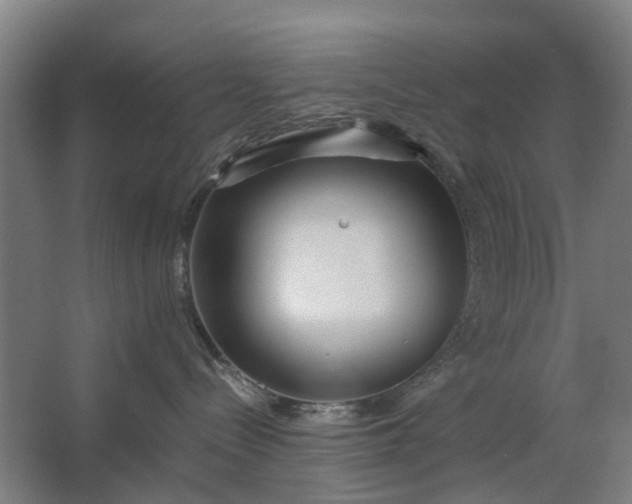 X0000062620288200601041013