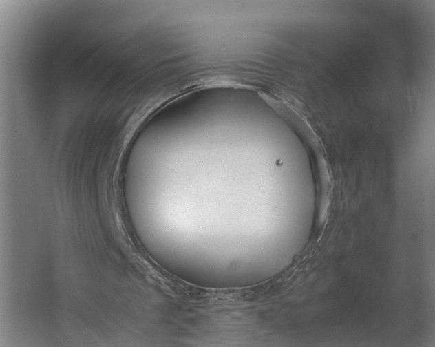 X0000062620289200601041012