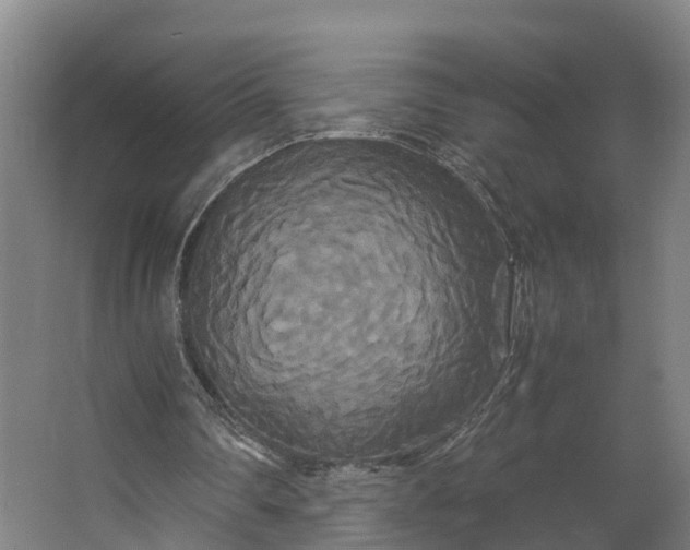 X0000062620290200601041012