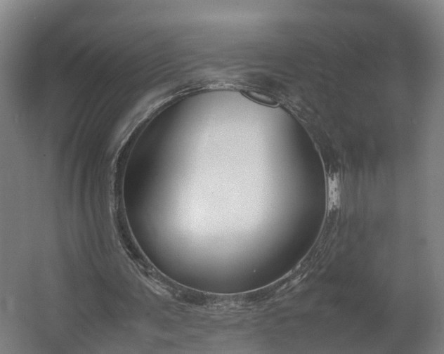 X0000062620291200601041012