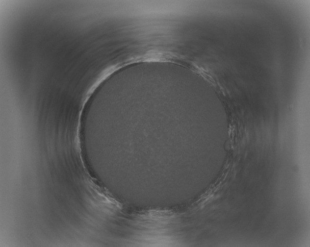 X0000062620292200601041012