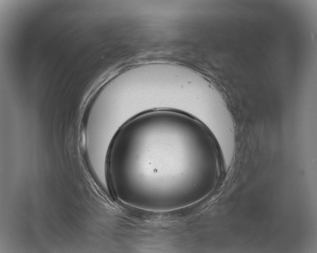 X0000062620293200601041012