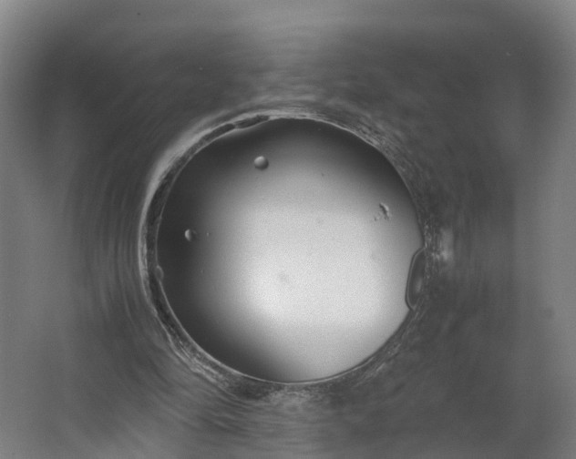 X0000062620294200601041012