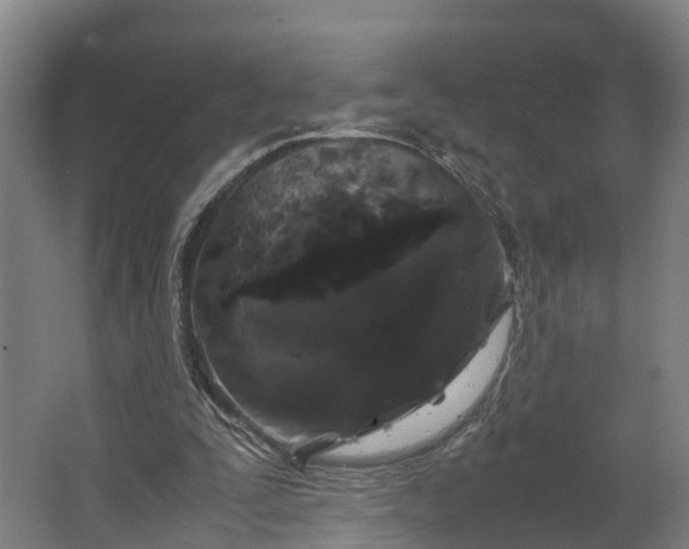 X0000062620295200601041012