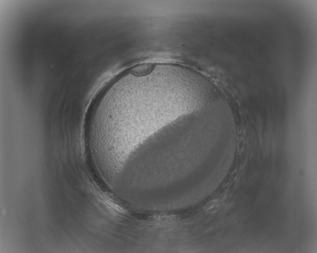 X0000062620296200601041012